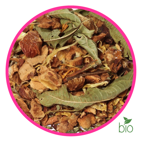Tisane des Elfes BIO