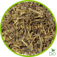 China Sencha BIO nature China Sencha BIO nature