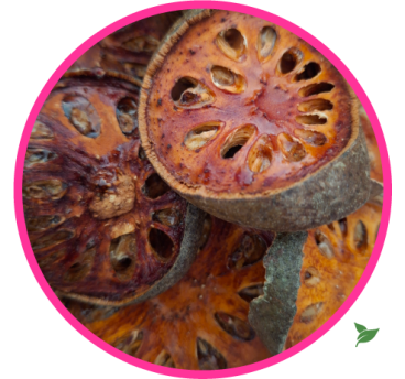Fruit de Bael