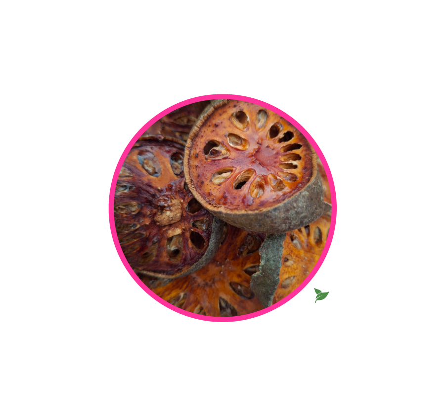 Fruit de Bael Fruit de Bael