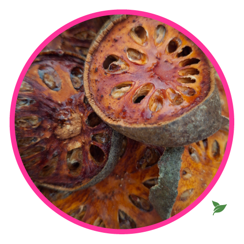 Fruit de Bael